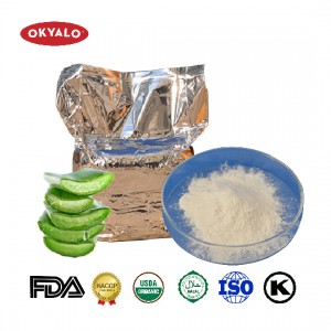 Aloe Vera Spray Dried Powder (100x Concentrate)