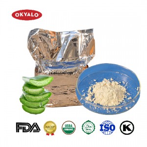 Aloe Vera Freeze Dried Powder (200x Concentrate)