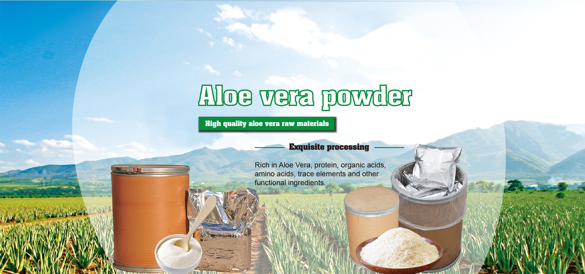 Aloe Vera Powder Wholesale